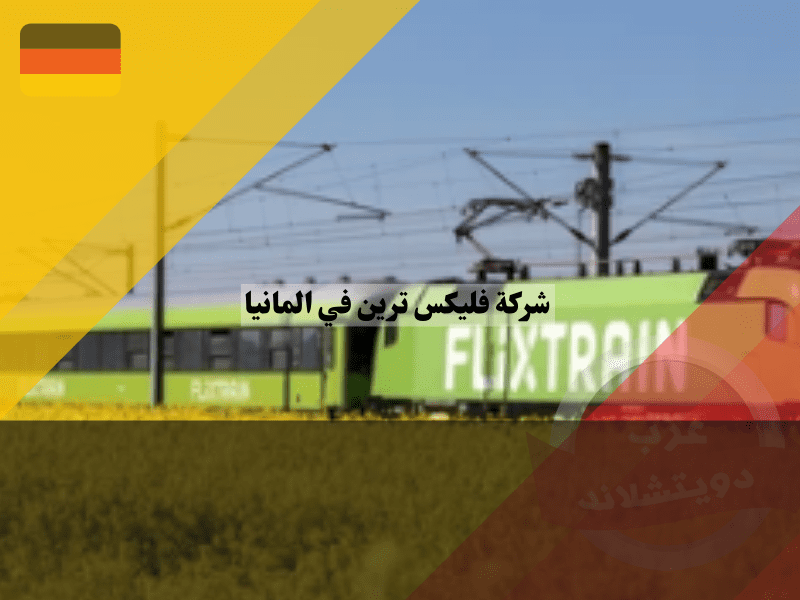 مميزات وعيوب شركة فليكس ترين