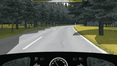 اسئلة السواقة في المانيا