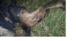 خاتم اليد بعد التخلص من قاسم سليماني