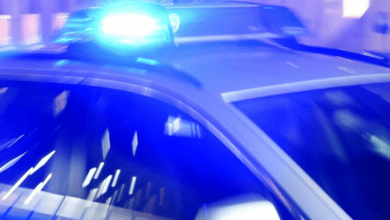 صحيفة ألمانية سيدة سورية تسافر بالأسود تعتدي على.. مفتشة التذاكر 