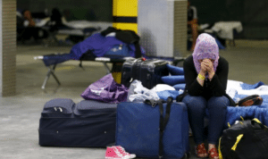 بدون عنوان بدون عنوان