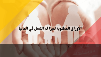 فيزا لم الشمل في ألمانيا: أهم الأوراق المطلوبة لمقابلة السفارة بنجاح