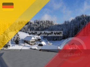 الغابة السوداء في المانيا في الشتاء