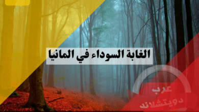 الغابة السوداء في المانيا الغابة السوداء في المانيا من أين جاءت التسمية ؟ اين تقع اهم المعالم السياحية والروايات عنها