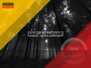 معلومات عن الغابة السوداء في المانيا