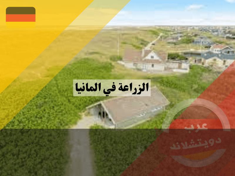 الزراعة في المانيا في البيوت الصيفية