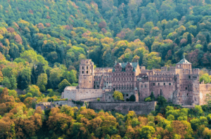 بدون عنوان بدون عنوان