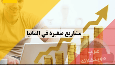 أفضل مشاريع صغيرة في المانيا في المنزل لتحقيق ربح إضافي
