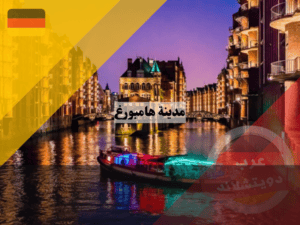 لا تستخدم هذا (4) لا تستخدم هذا (4)