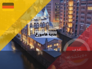 لا تستخدم هذا (5) لا تستخدم هذا (5)