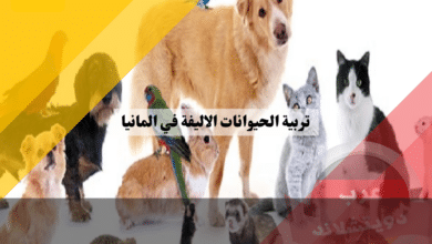 تربية الحيوانات الاليفة في المانيا