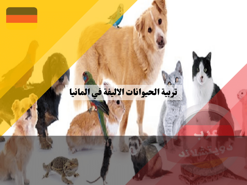 تربية الحيوانات الاليفة في المانيا