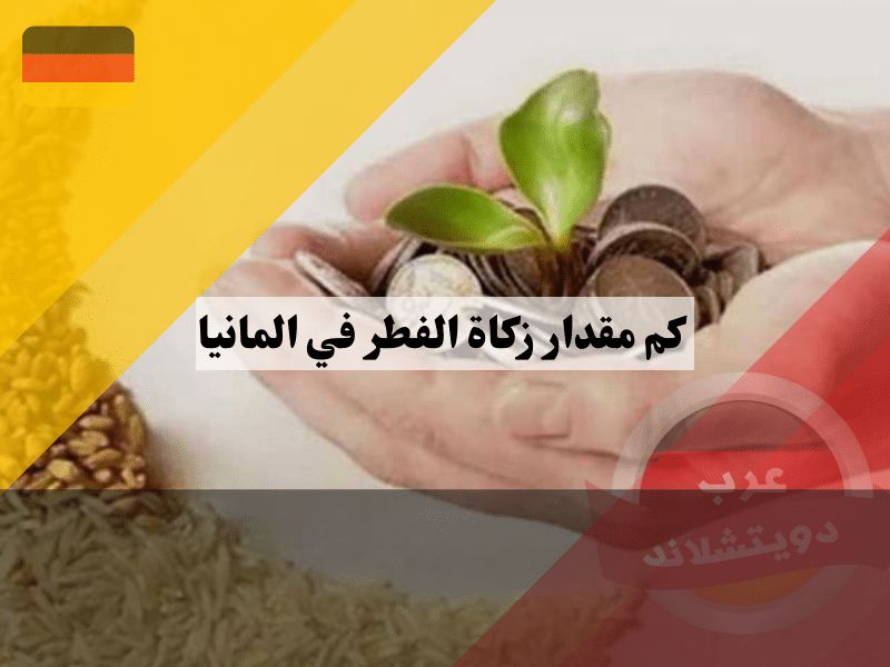 كم مقدار زكاة الفطر في المانيا