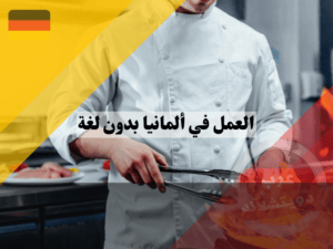 الوظائف الشاغرة للعمل في ألمانيا بدون لغة