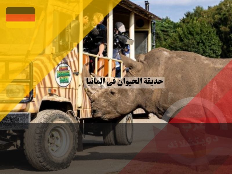 حديقة سيرينجيتي بارك هودينهانجن