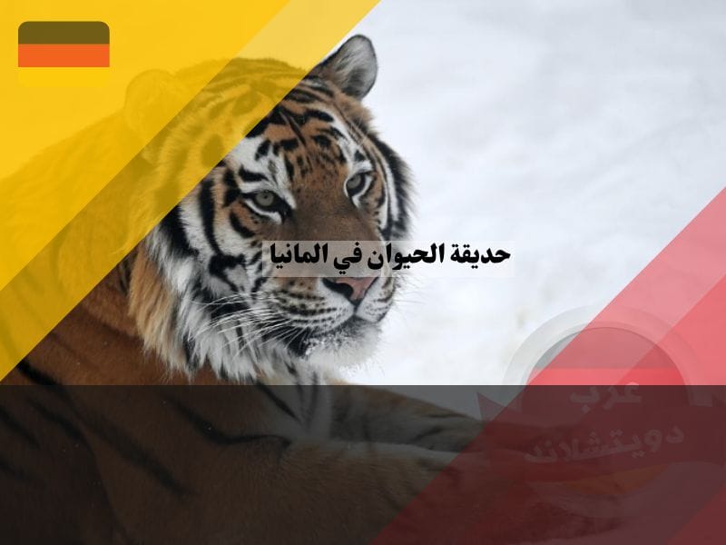 حديقة حيوان موسكو