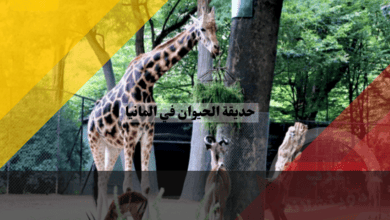 حديقة الحيوان في المانيا