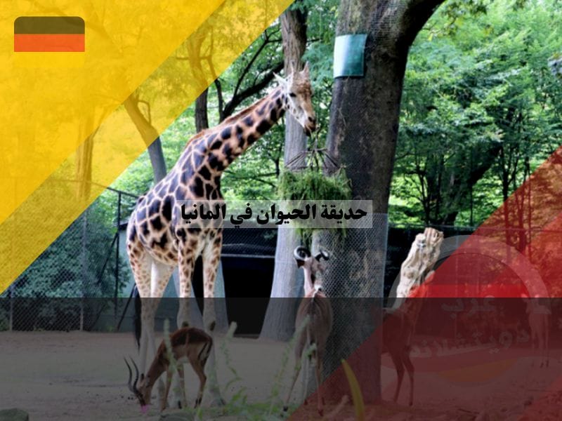 حديقة الحيوان في المانيا