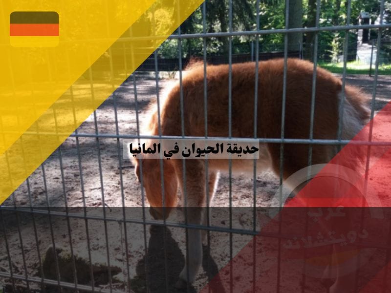 حديقة حيوانات كوبيلت