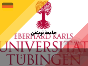 هل الدراسة في جامعة توبنغن جيدة؟