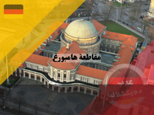 الجامعات في مقاطعة هامبورغ