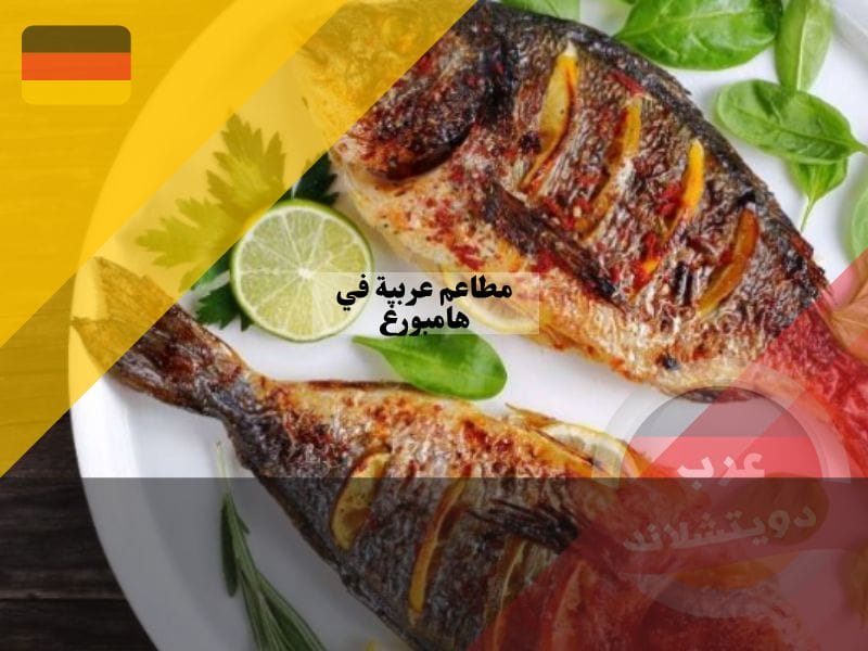 مطعم ميناء صيد السمك
