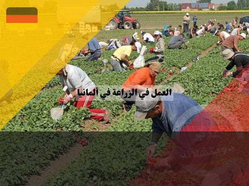 العمل في الزراعة في ألمانيا