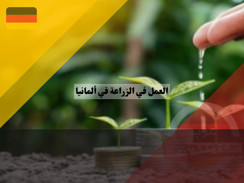 أجور العمل في الزراعة في ألمانيا