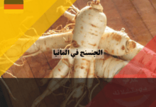 عشبة الجنسنج في المانيا