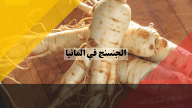 عشبة الجنسنج في المانيا