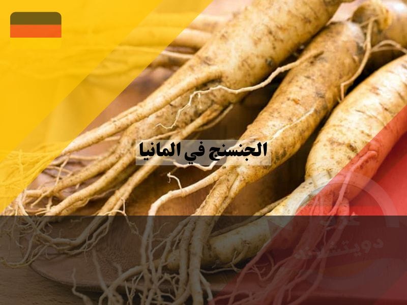 الابحاث العلمية لعشبة الجنسنج في المانيا