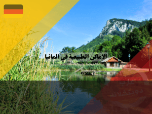 عرب دويتشلاند (93)