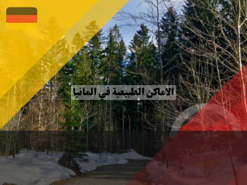 حديقة الغابات البافارية الوطنية