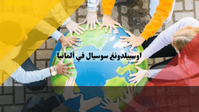 اوسبيلدونغ سوسيال في ألمانيا