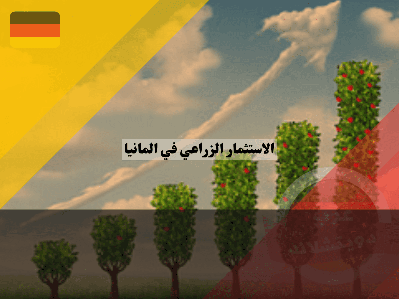 الاستثمار الزراعي في ألمانيا: استثمر بذكاء وحقق أهدافك الاستثمار الزراعي في ألمانيا