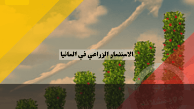 الاستثمار الزراعي في ألمانيا